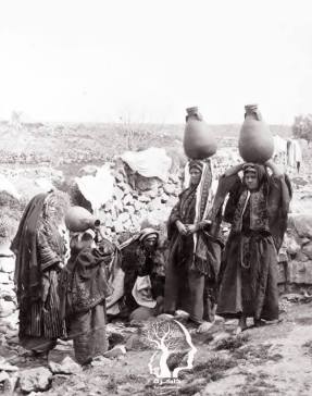 Peasants from Ramallah who fill water tractor-1900 m